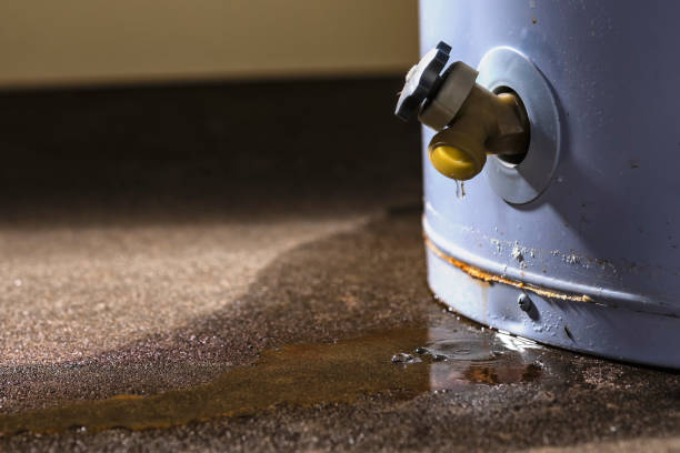 Best Water damage restoration near me  in Hilltop, SC