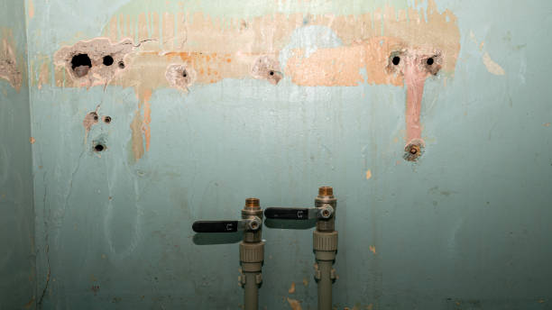 Best Carpet water damage restoration  in Hilltop, SC