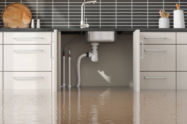 Best Mold removal after water damage  in Hilltop, SC