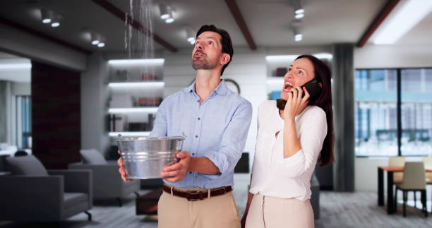 Best Water damage contractors near me  in Hilltop, SC