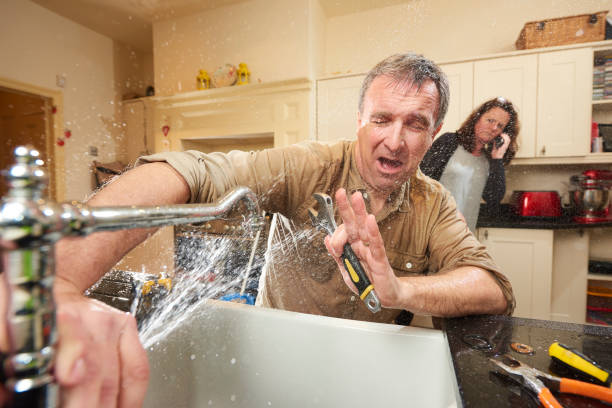 Best Fire Damage Restoration  in Hilltop, SC